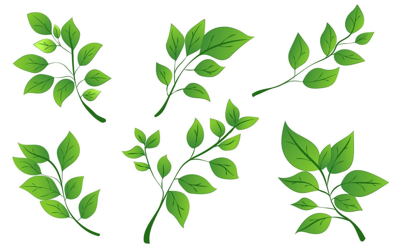 A collection of green leaves arranged in different positions. The graphic style is vibrant and flat. The background is plain white. illustration vector