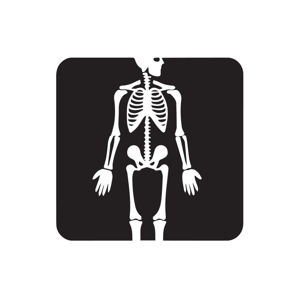 X Ray Icon, Hospital Symbol, Pill Clipart, Health Symbol vector