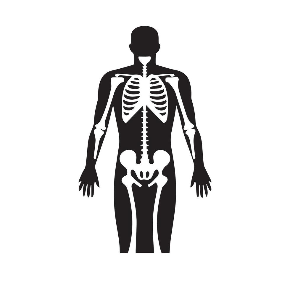 X Ray Icon, Medical Drawing, Medicine Drawing, Ems Symbol vector