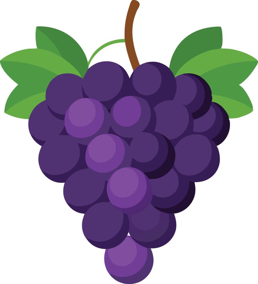 Bunch of purple grapes with green leaves, illustrated in a fun and simple cartoon style vector