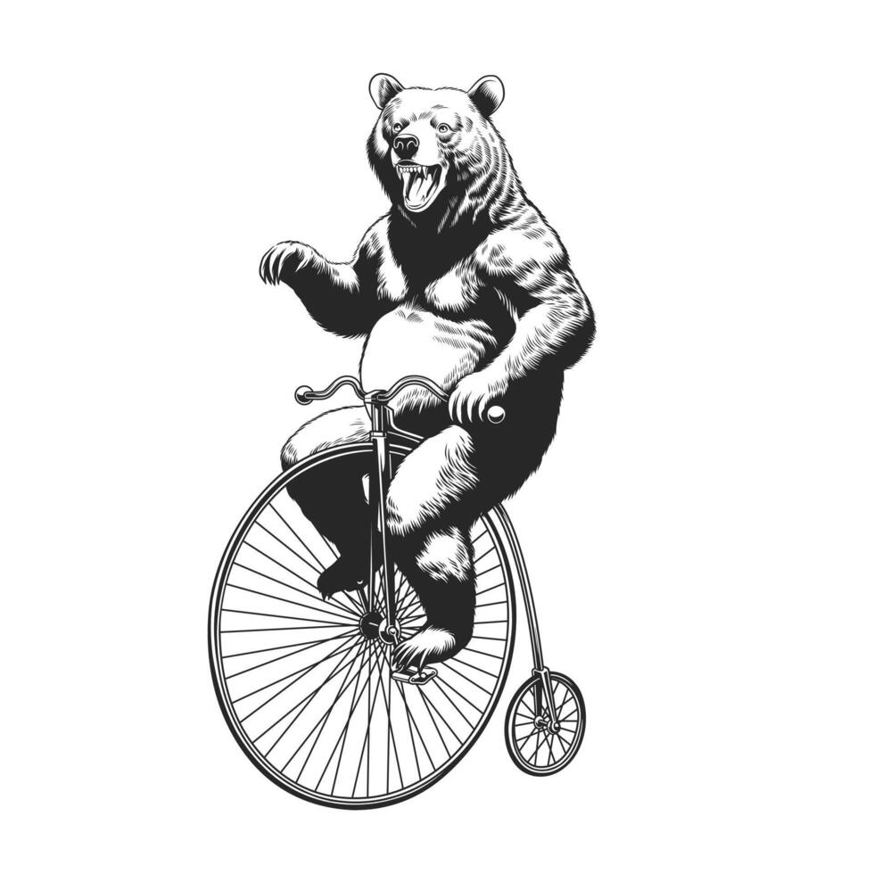 Bear Riding a Classic Bicycle with Big front Wheel vector