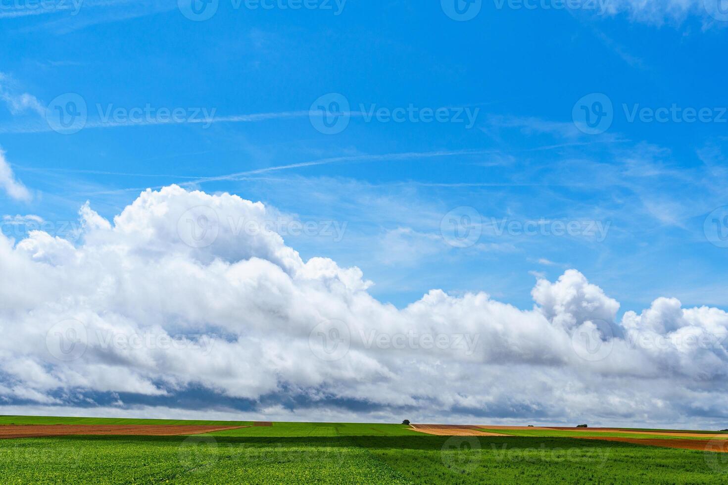 A stunning countryside landscape featuring a clear blue sky with fluffy clouds and vibrant green fields. A lone tree stands in the midst, creating a peaceful and serene atmosphere. photo
