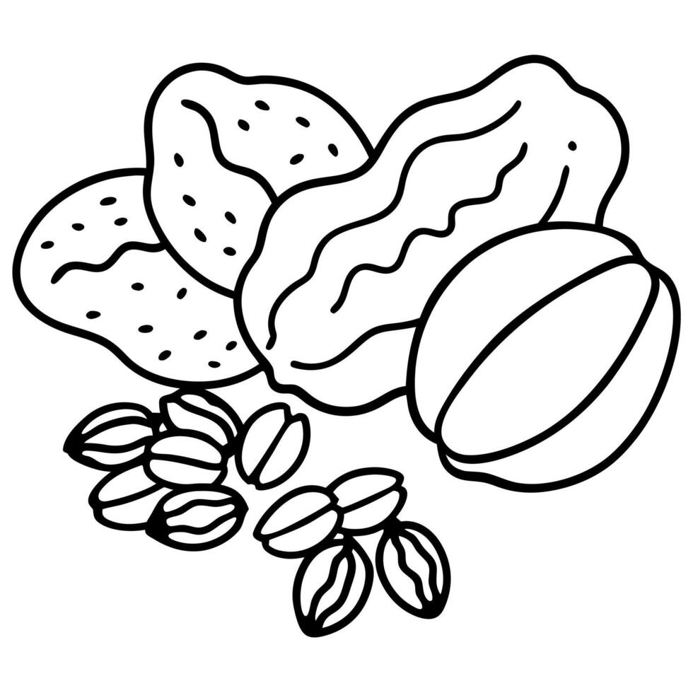 A drawing of nuts and beans coloring page vector