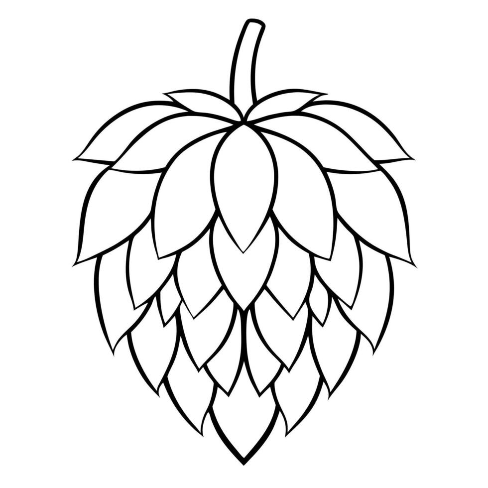hops, illustration line art vector