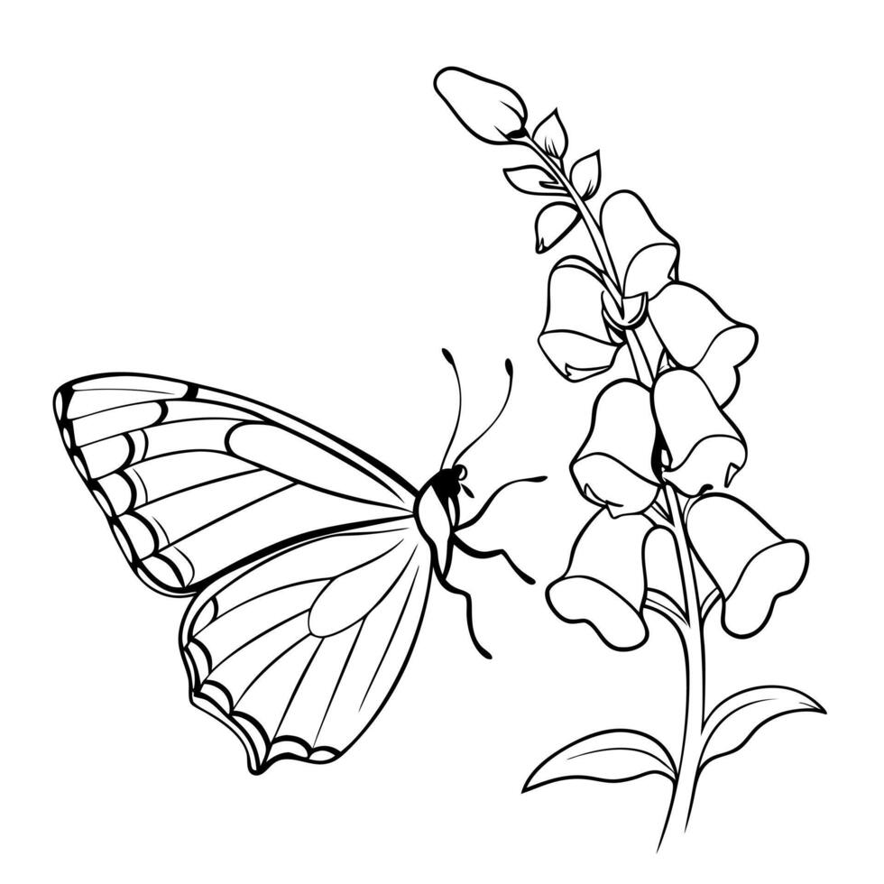 a butterfly is extracting nectar from a snapdragon flower, illustration line art vector