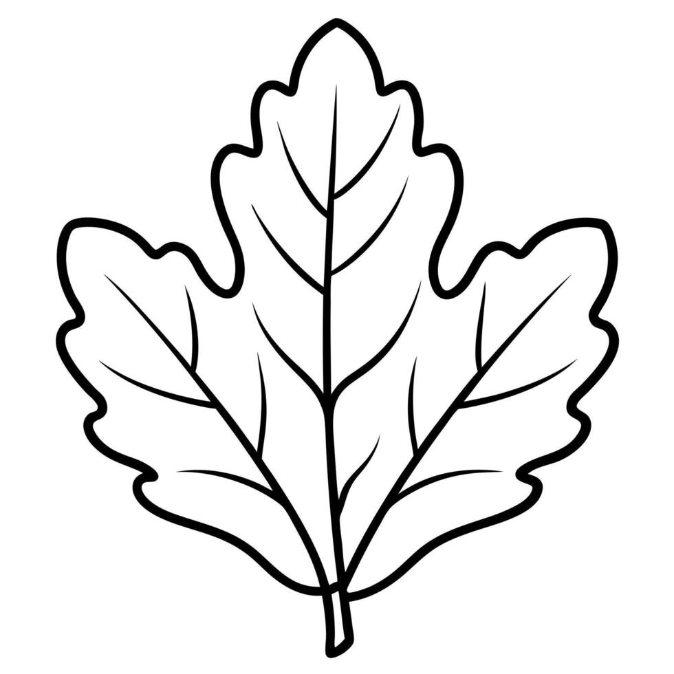 oak leaves, illustration line art vector