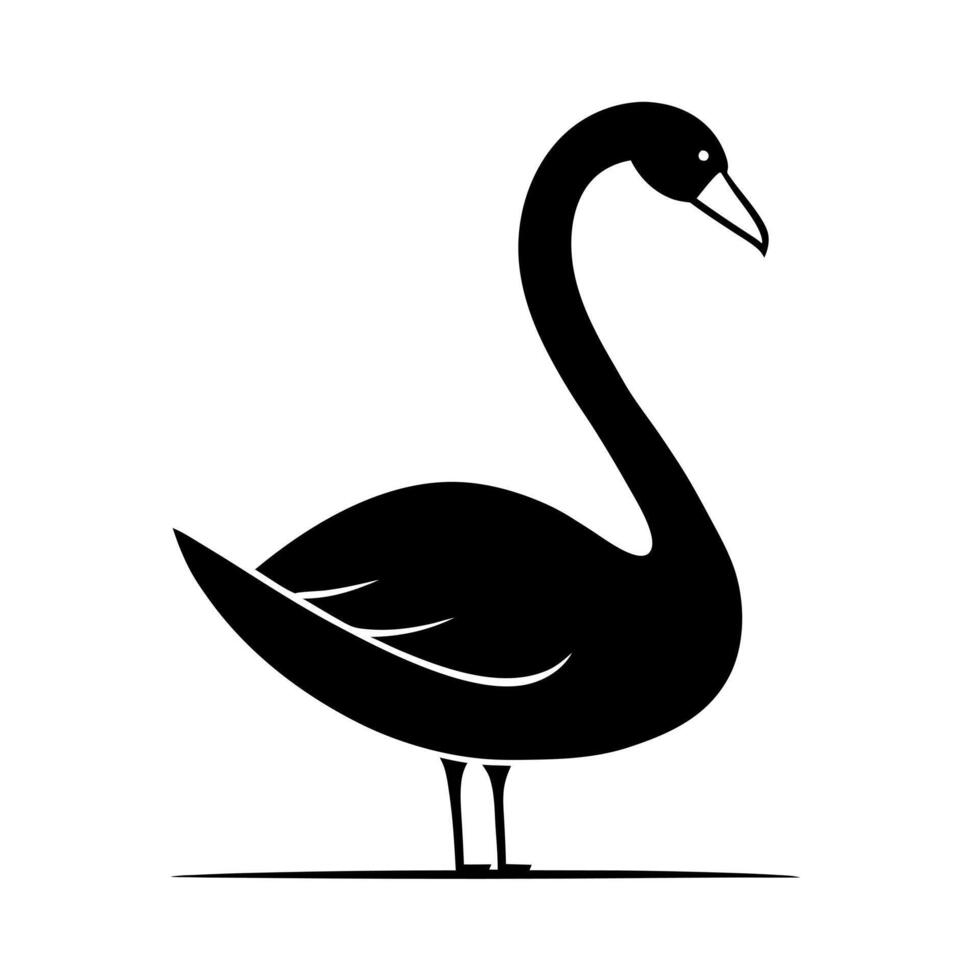 black swan bird standing, illustration line art vector