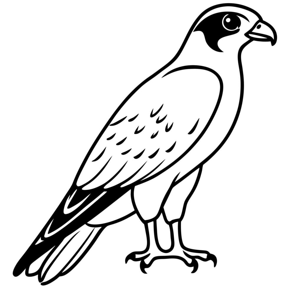 falcon bird silhouette, illustration line art vector