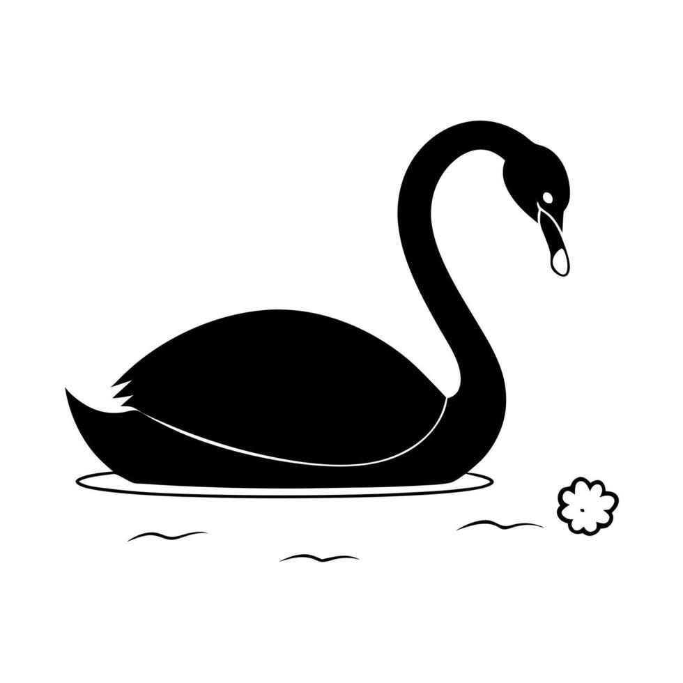black swan bird eating, illustration line art vector