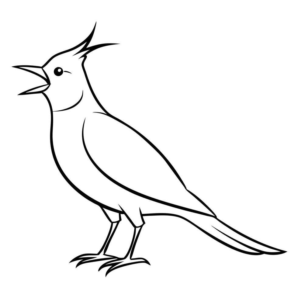 a lark bird roar full length line art, illustration line art vector