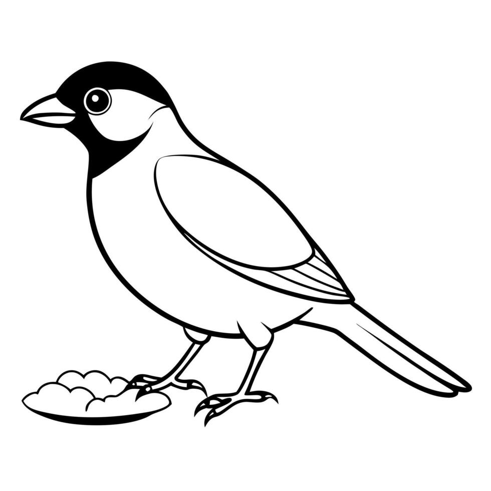 a bulbul bird is eating its food, illustration line art vector