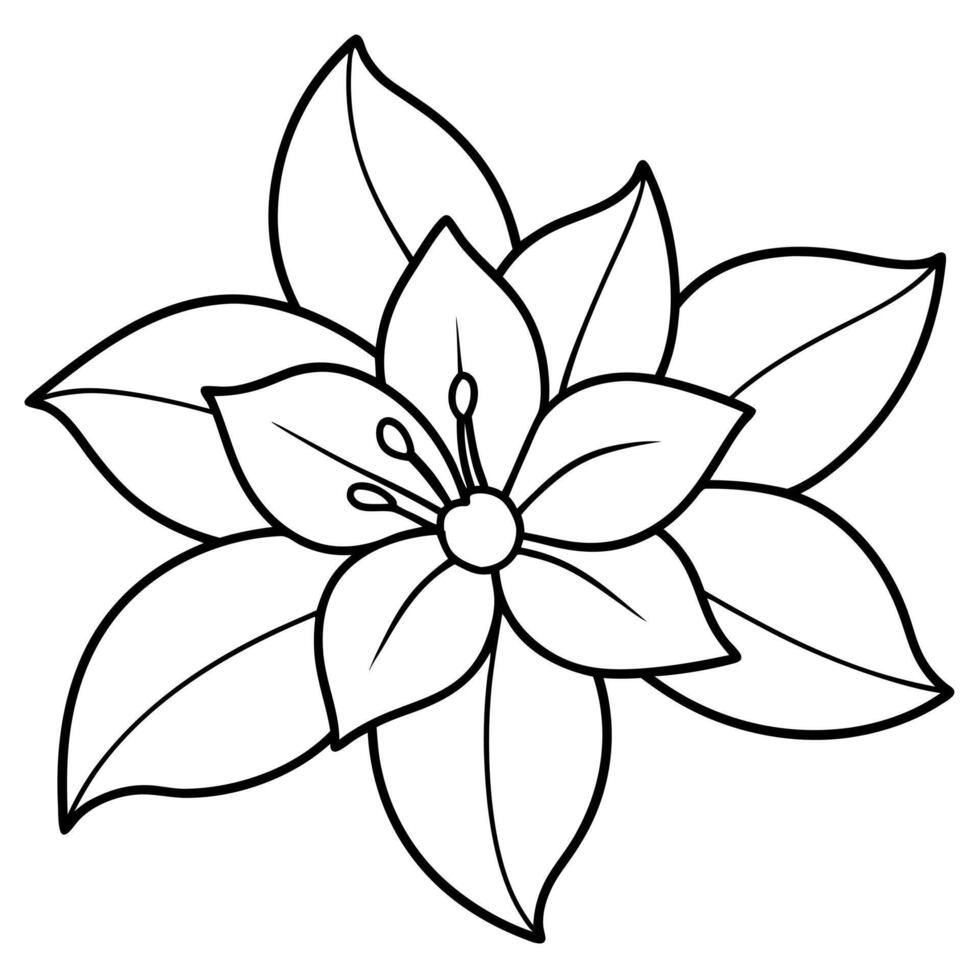 simple jasmine flower, illustration line art vector