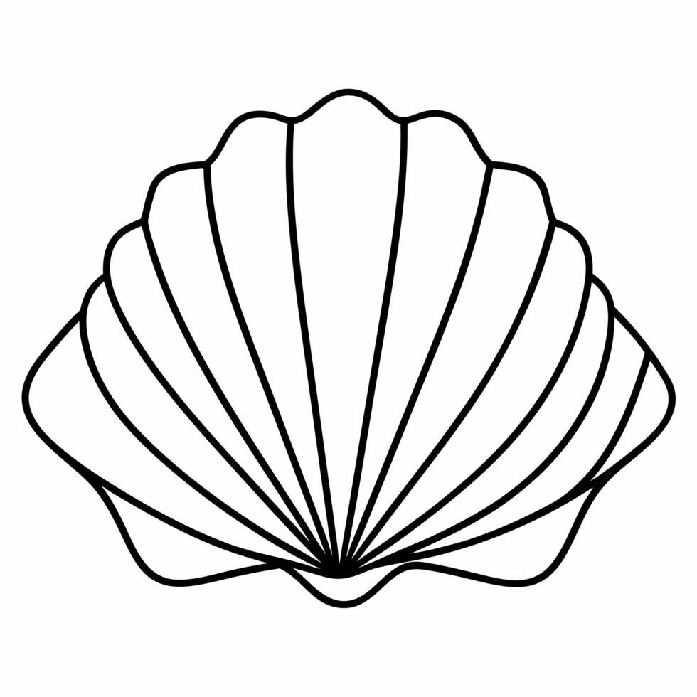 single seashell, illustration line art vector