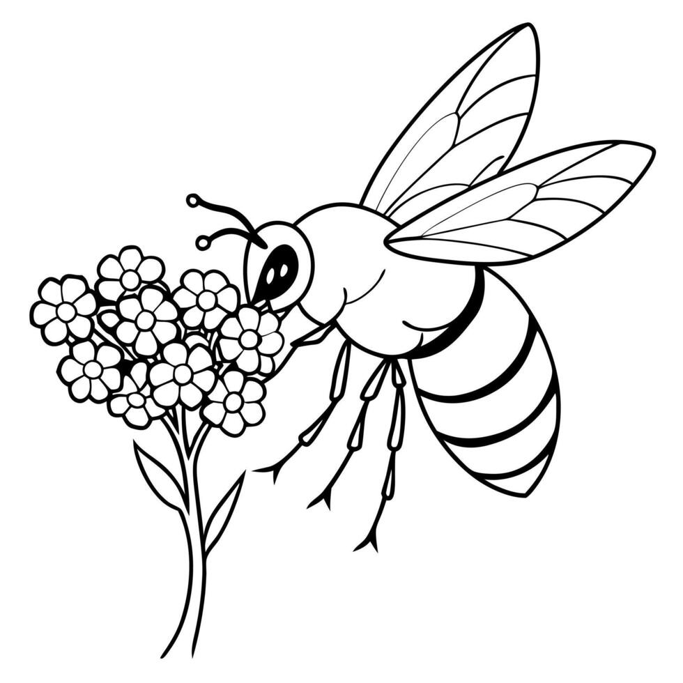 a bee is extracting honey from a yarrow flower, illustration line art vector