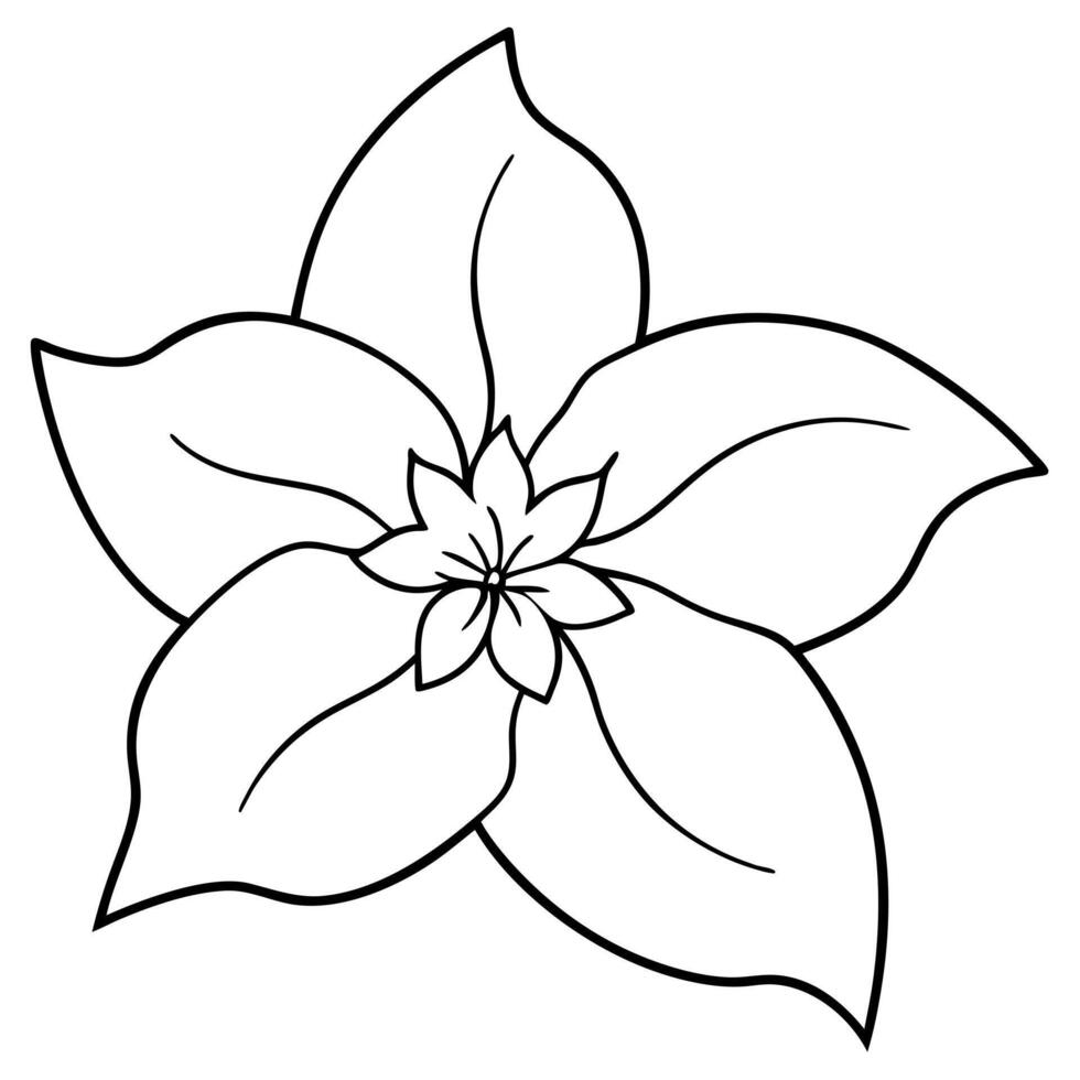 jasmine flower stamen, illustration line art vector