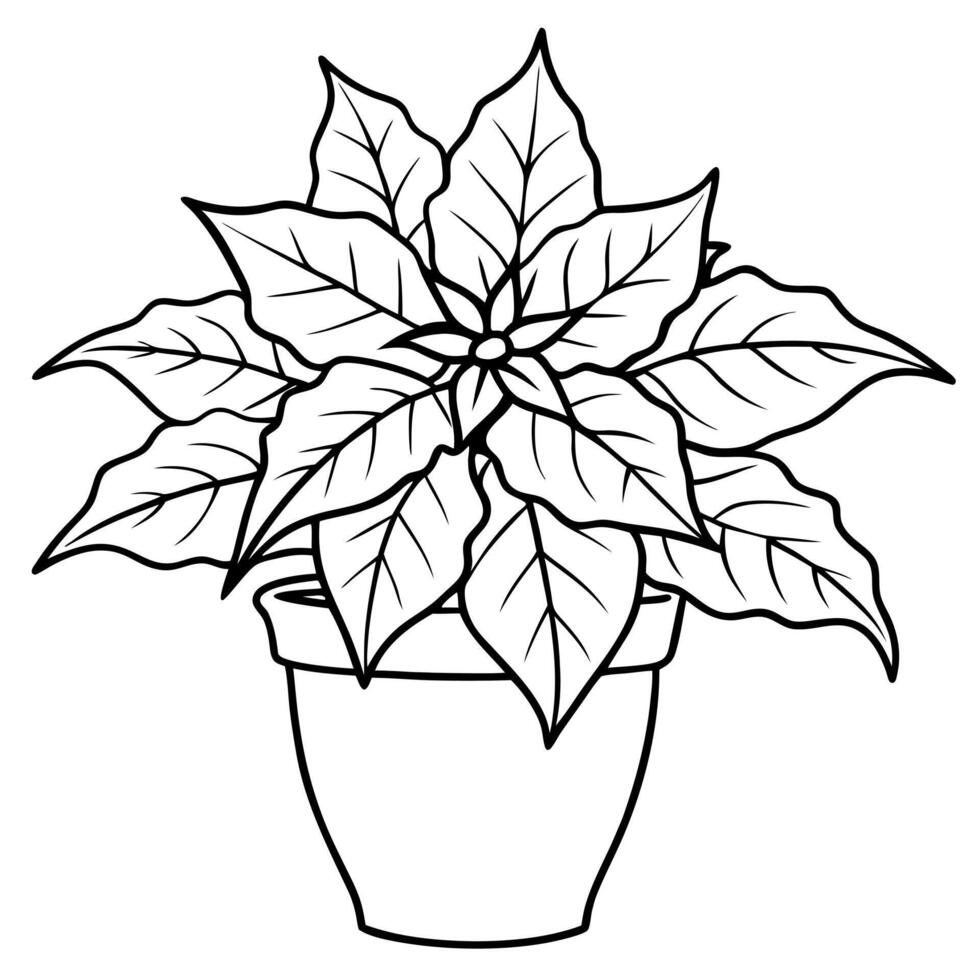 draw a beautiful poinsettia plant in a holiday pot, illustration line art vector