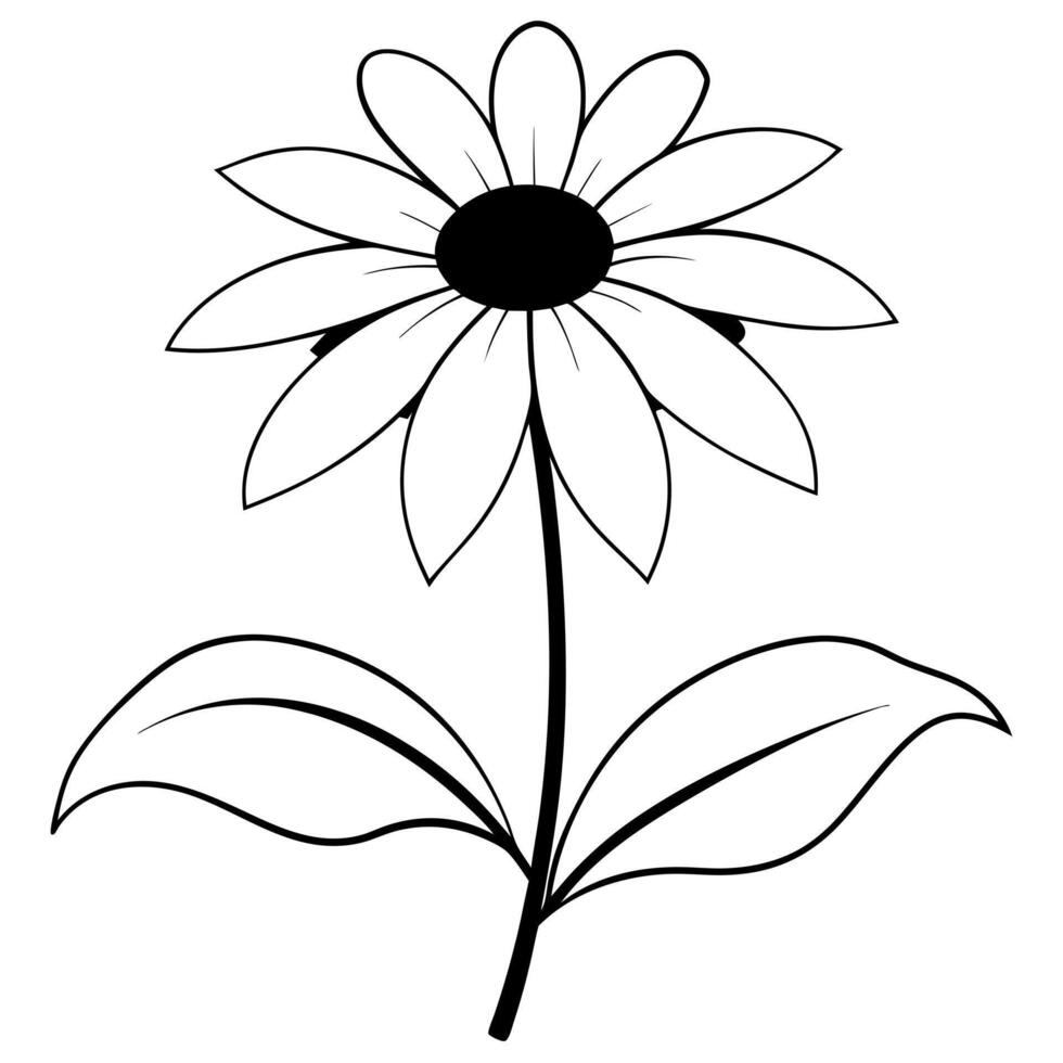 a rudbeckia with two leaves, illustration line art vector