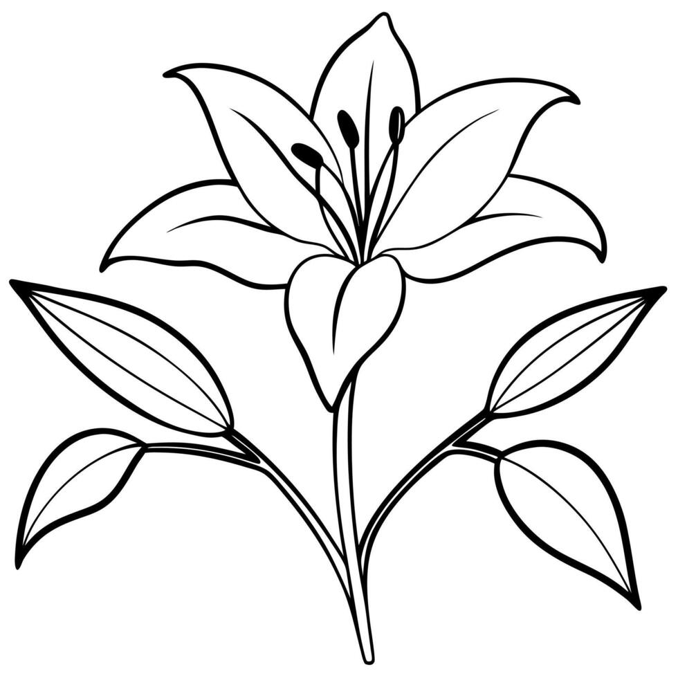 Lily coloring pages for kids vector