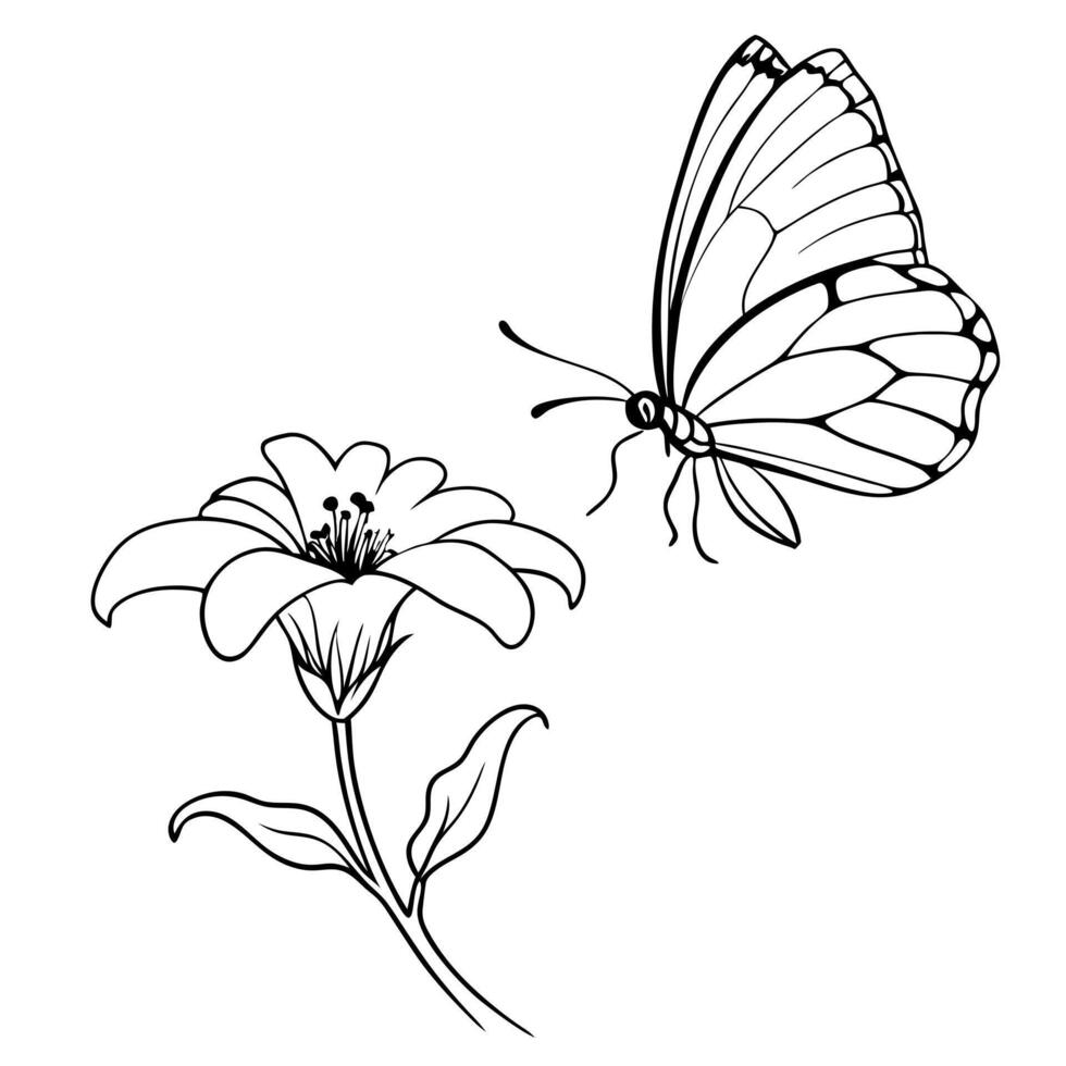 a butterfly is extracting nectar from a stock flower, illustration line art vector