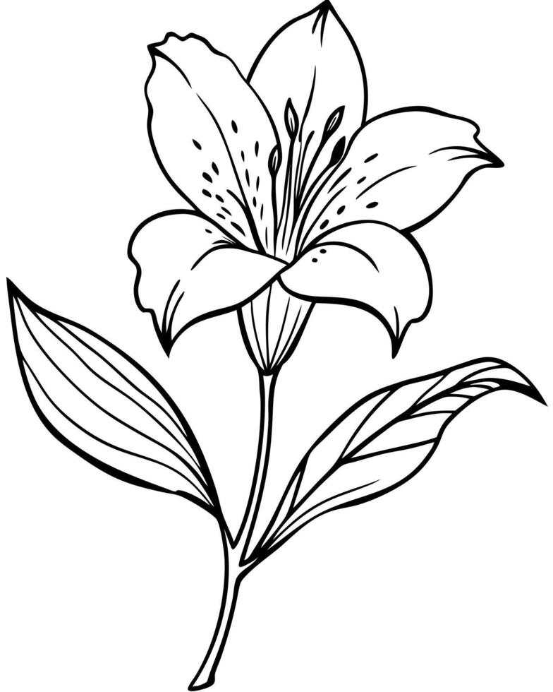 A black and white drawing of a flower vector