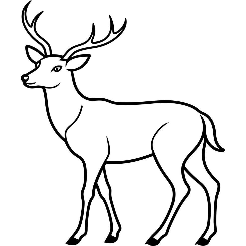 Deer coloring pages free printable vector
