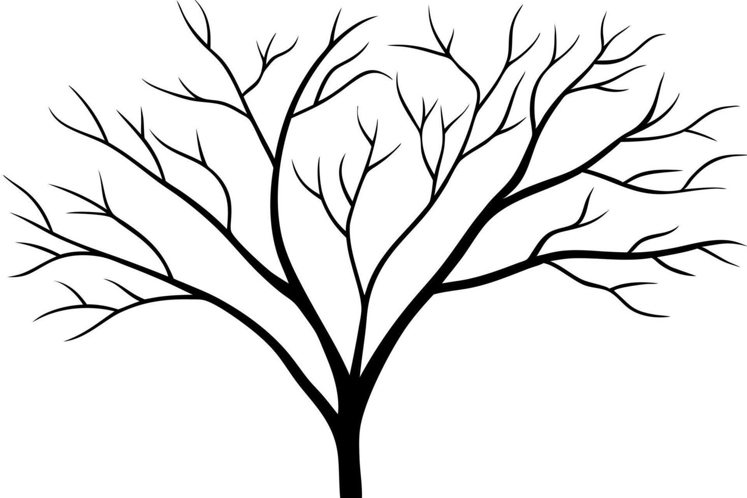 tree branches silhouette isolated on white background, illustration line art vector