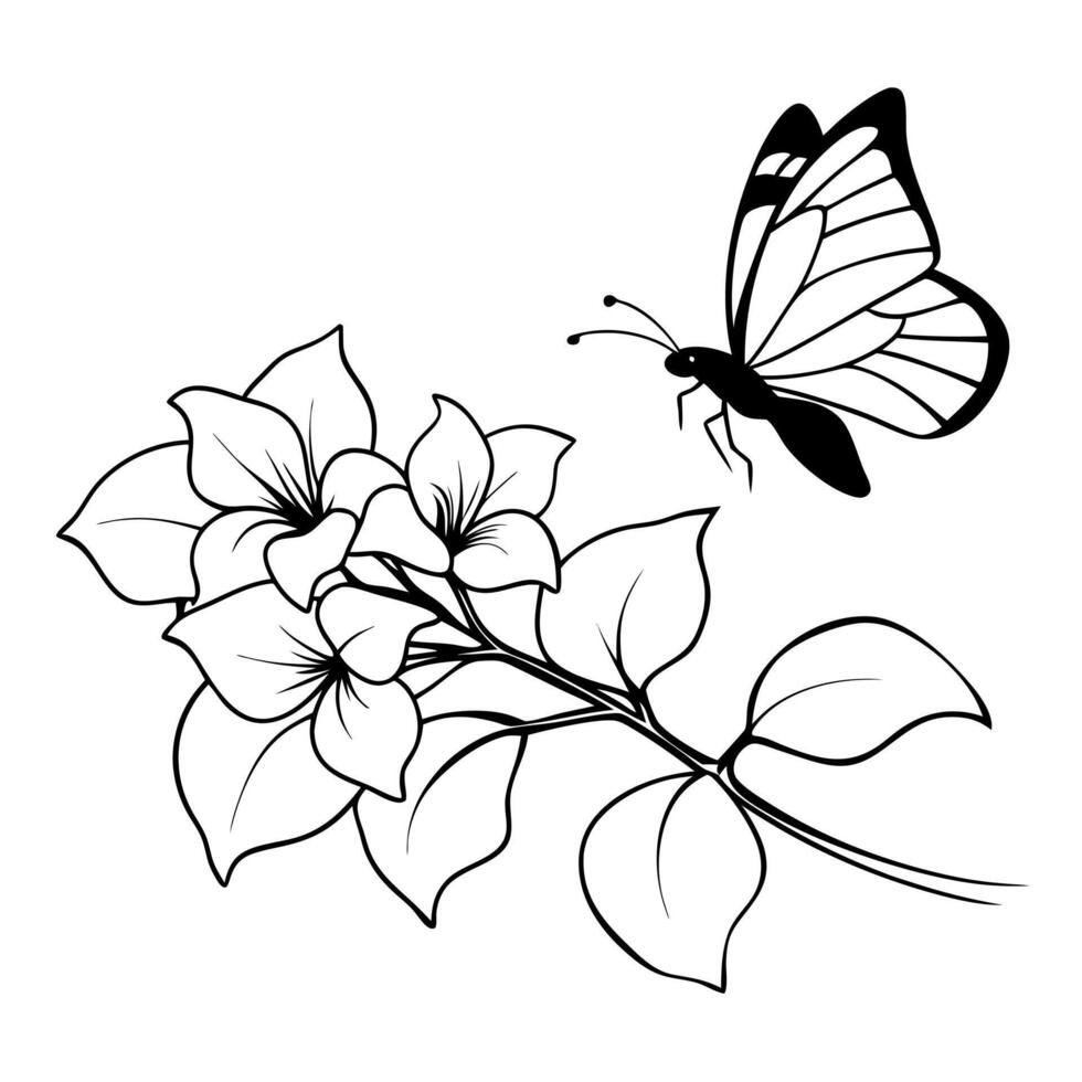 a butterfly is extracting nectar from a bougainvillea flower, illustration line art vector