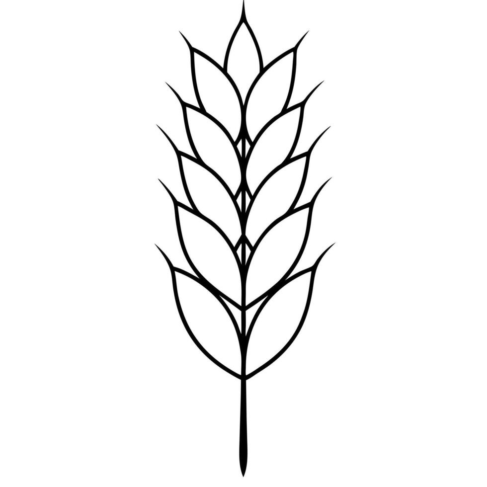 barley, illustration line art vector