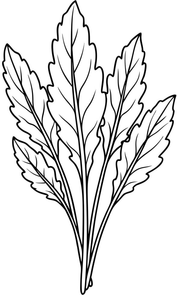 bunch of sorrel leaves, illustration line art vector
