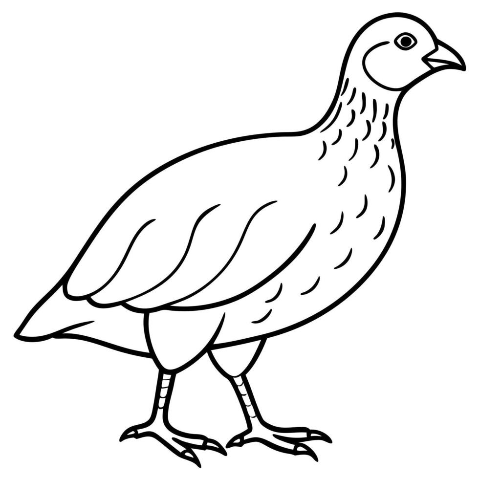 francolin isometric illustrations, illustration line art vector
