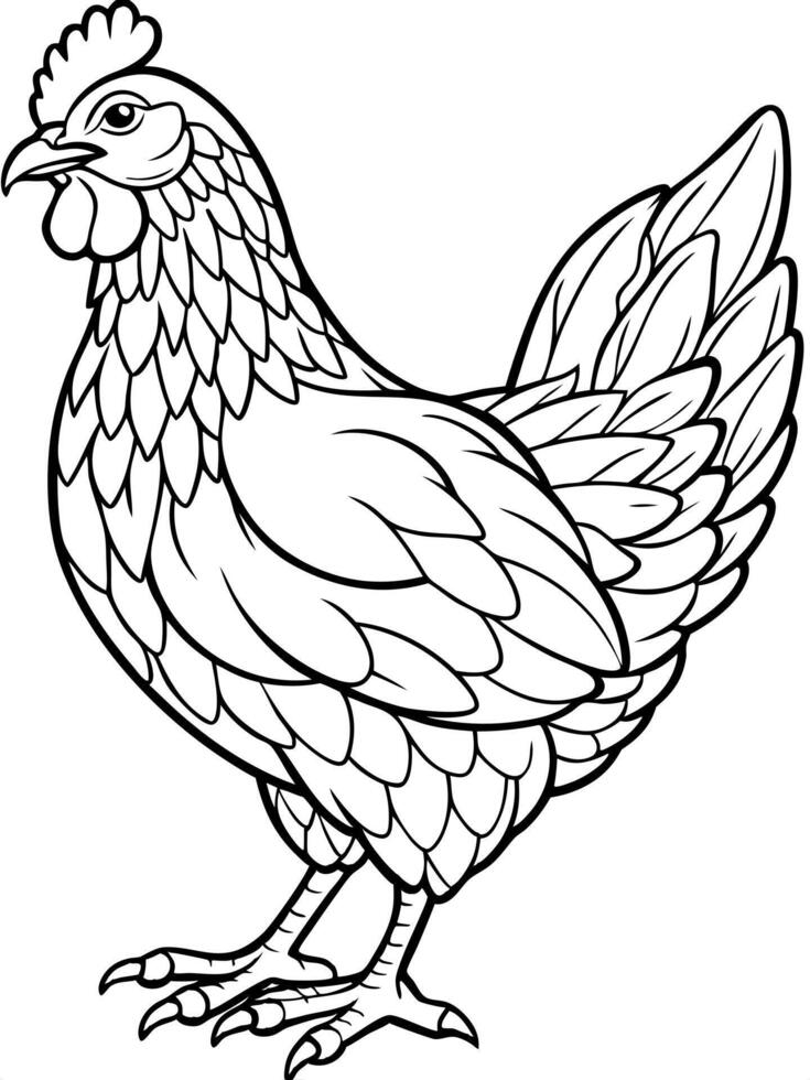 chicken, illustration line art vector