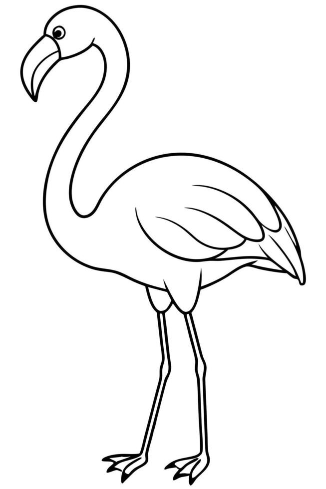 flamingo bird, kids colouring page, different pose, illustration line art vector