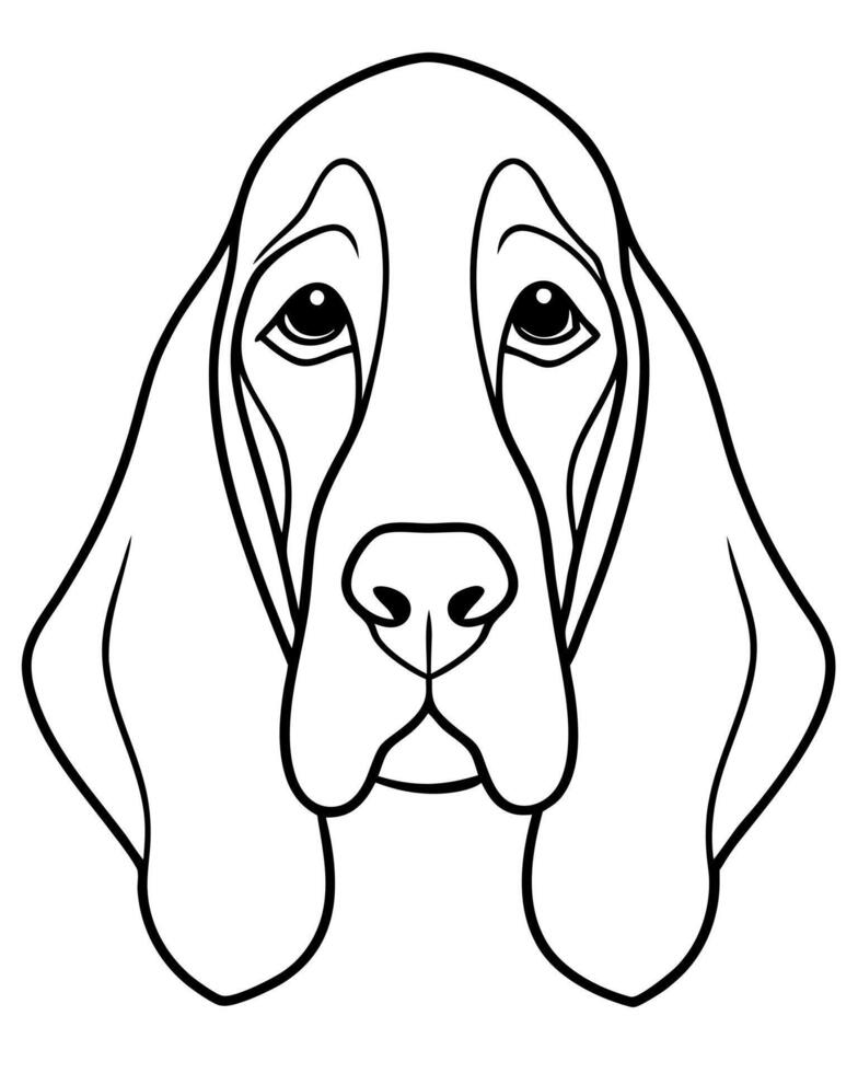 basset hound dog entire head front view, illustration line art vector