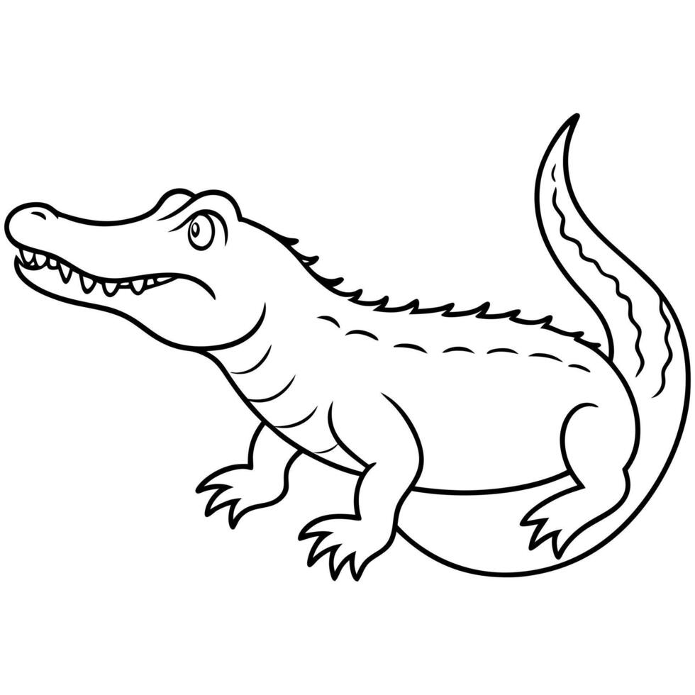 alligator, illustration line art vector