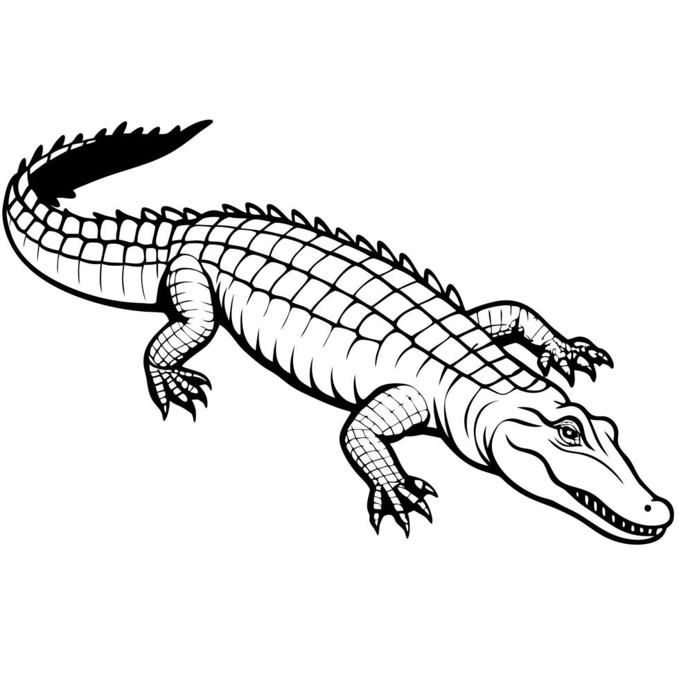 alligator silhouette illustration, solid white background, illustration line art vector