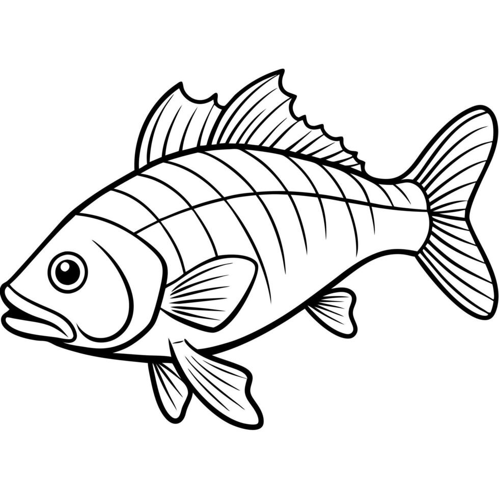 fish line art illustration, solid white background, illustration line art vector