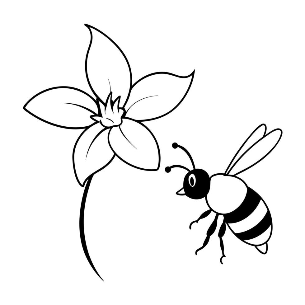 a bee is extracting honey from a stephanotis flower, illustration line art vector