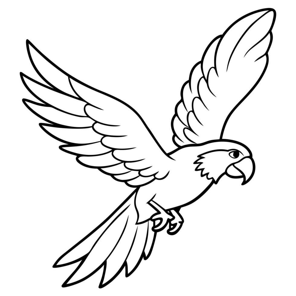 a flying parrot, illustration line art vector