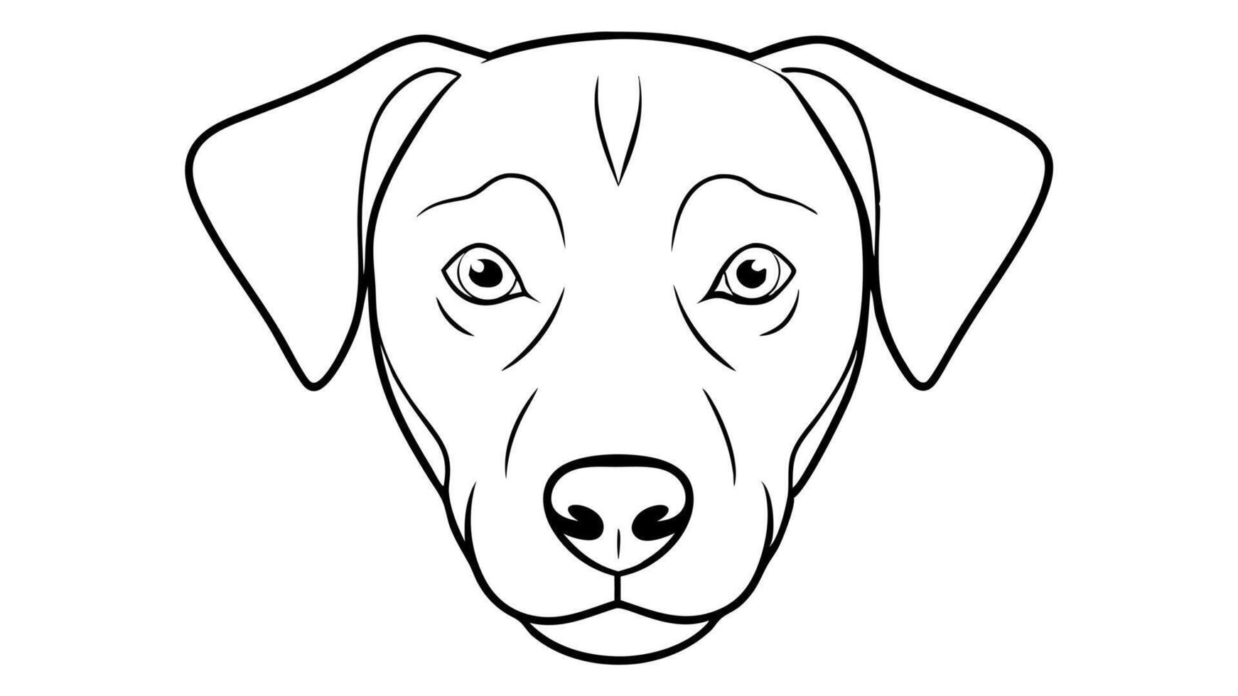 doog head, illustration line art vector