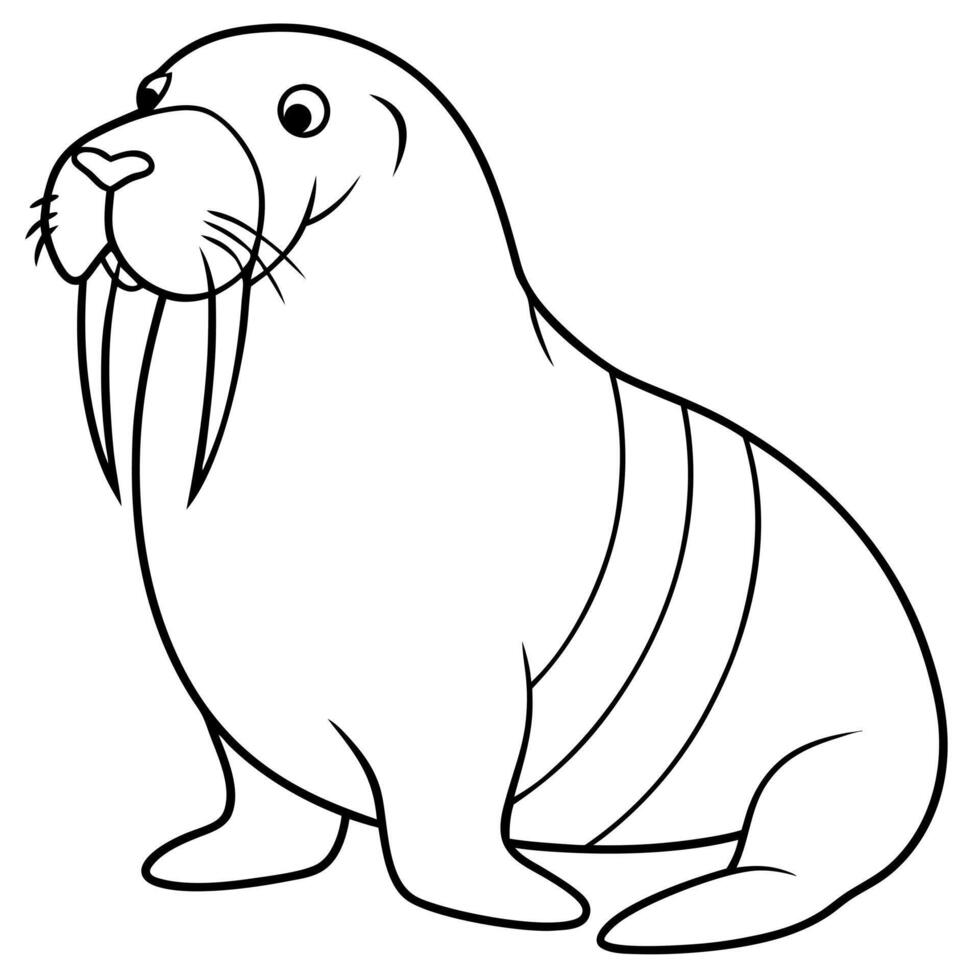 walrus, illustration line art vector