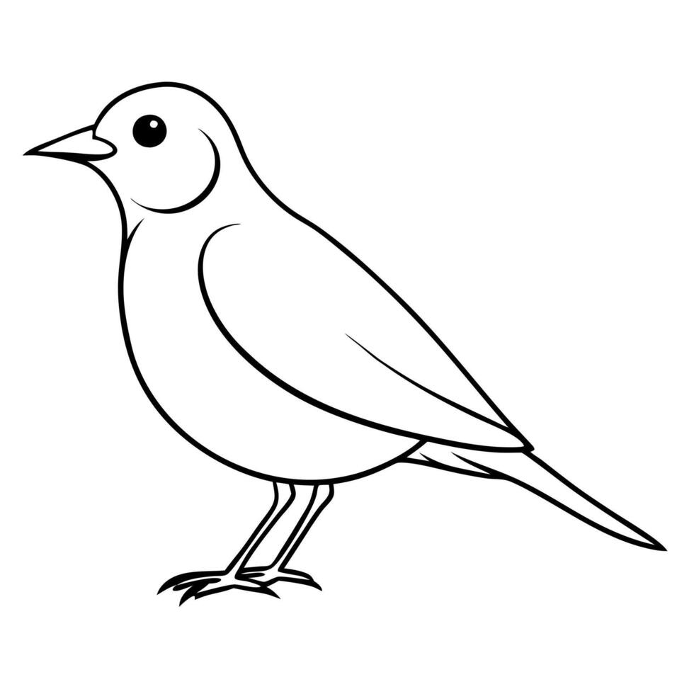 a lark bird is seating, illustration line art vector