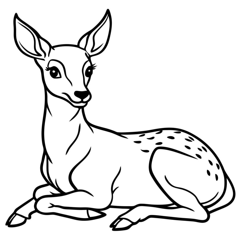 sitting roe deer, illustration line art vector