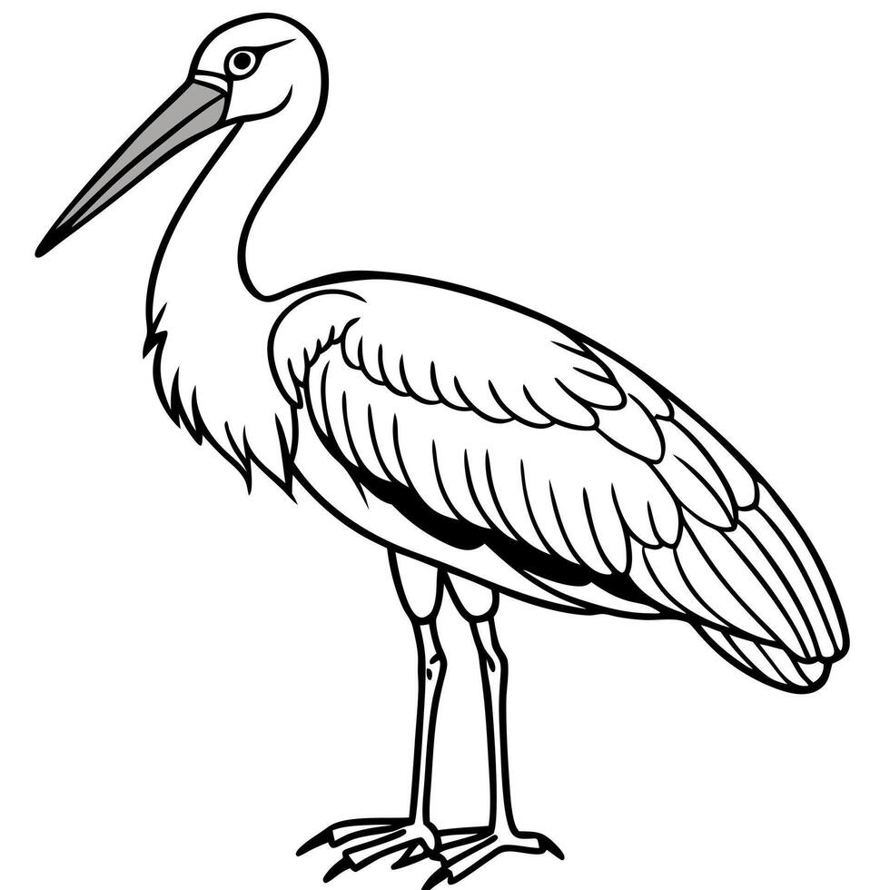 stork design, withe outline , black background, illustration line art vector
