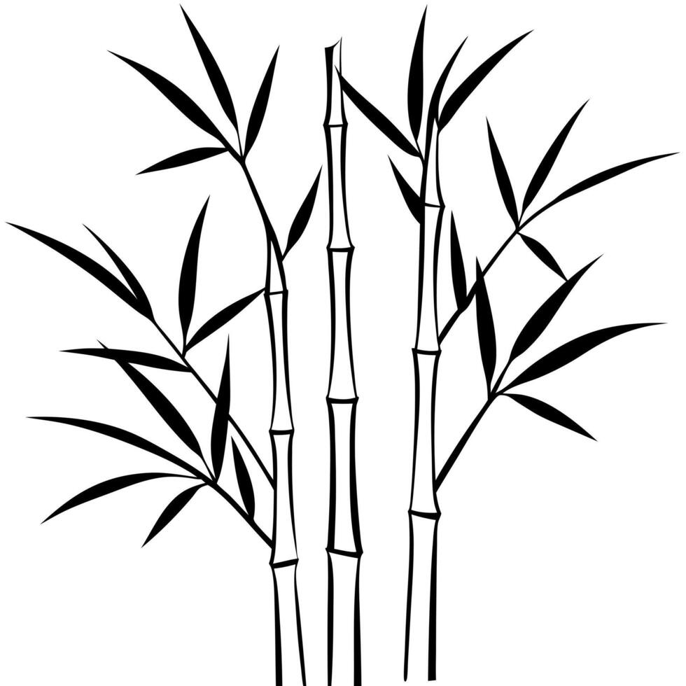 3d rendering of dynamic bamboo with silhouette beautiful line art, illustration line art vector