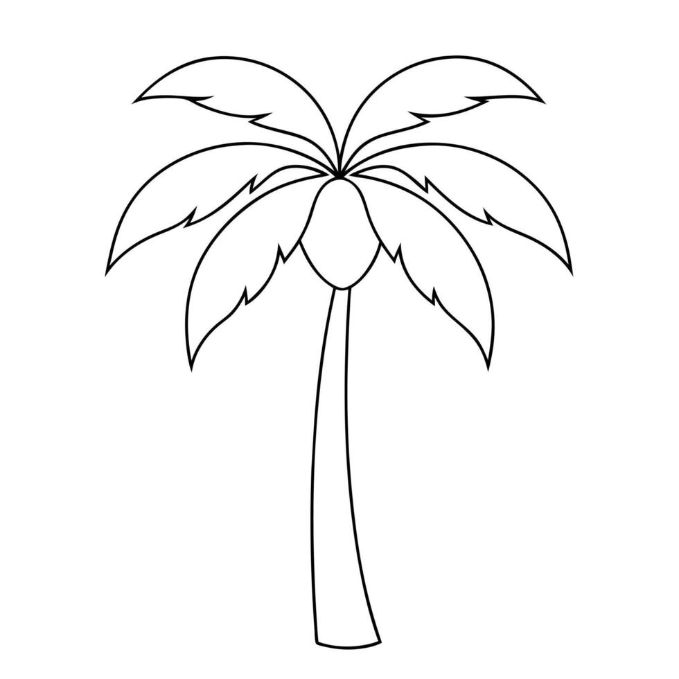 papaya tree, illustration line art vector
