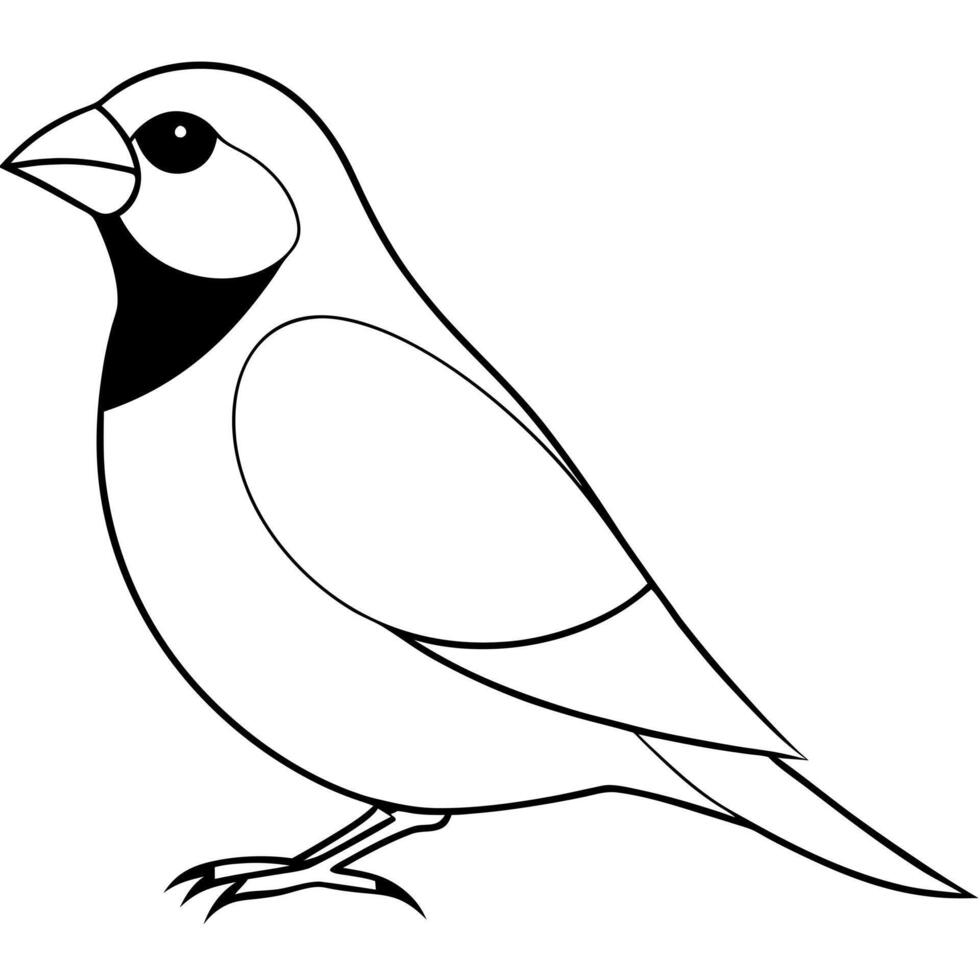 headed grosbeak bird sitting, illustration line art vector