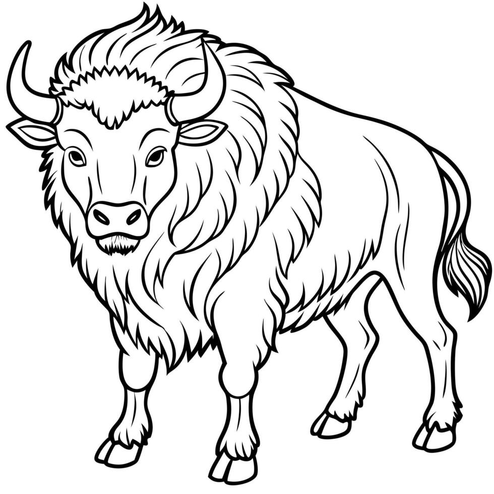 bison, illustration line art vector