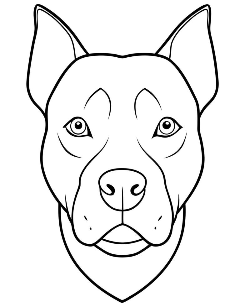 american staffordshire terrier entire head front view, illustration line art vector