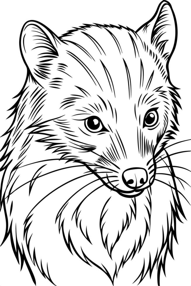 binturong, illustration line art vector