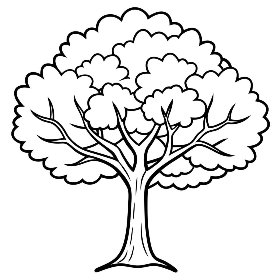 ash tree, illustration line art vector